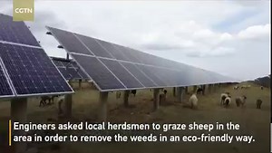 18K views · 865 reactions | As China accelerates its shift toward...