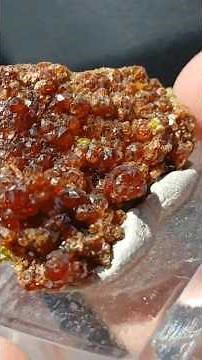 Mmmmm Hessonite Garnets and Opal Fossils!