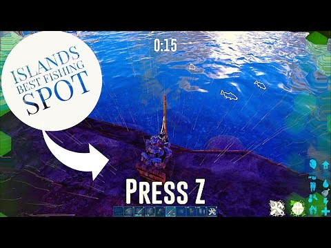 BEST ISLAND FISHING OASIS