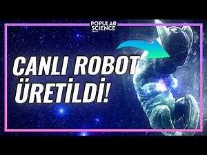 Canlı Robot Üretildi - XENOBOT Nedir? | Popular Science Türkiye