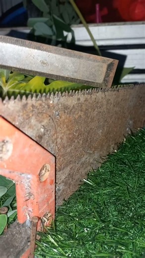 “From Dull to Sharp: Restore Your Saw in Simple Steps!”