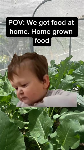 We got food at home #homesweethome #homemade #homegrown #homegarden #HomegrownGoodness #homegrownfood #gardening #raisedgardenbeds #gardeningtips #vegogarden #farmtotable | The Thrifted Planter