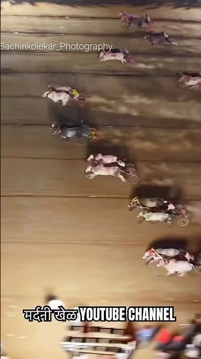 लखन आणि रॉकी vs बकासुर/ माथुर श्रीनाथ केसरी २०२५ #bailgadasharyat #bakasur #mathur1001 #bailgada