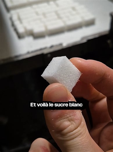 Le Voyage du Sucre: De la Betterave à la Table