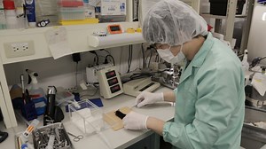 Optogenetic Manipulation of Neural Circuits During Monitoring Sleep/wakefulness States in Mice