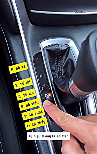 hướng dẫn cơ bản chạy xe số tự động #car#meoxehay #hoclaixe