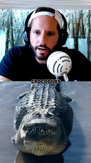 Forrest Galante Explains Why Crocodile Survived Extinction Event
