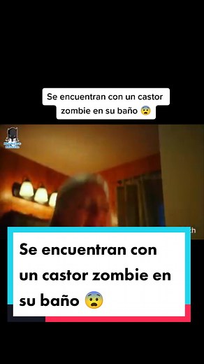 Encuentro aterrador con un castor zombi