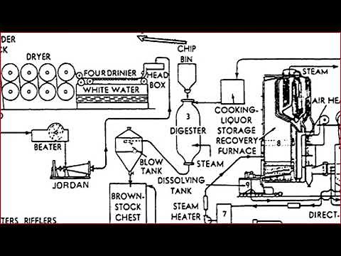 Paper and Pulp Industry | Part-1 | Chemical Engineering