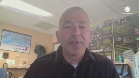 Staying safe during a bear encounter