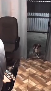 33K views · 1.7K reactions | 落 (@mrsurfdance) | Pee-wee Herman | Facebook