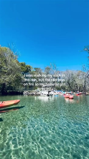 A Quirky Proposal Inspired by a Hamster's Tale