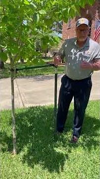 Installation Instructions of the 360 Tree Stabilizer