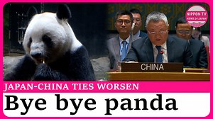 15K views · 282 reactions | Tokyo will return the twin giant pandas at Ueno Zoo to China in January 2026, making it the first time since 1972 that Japan will not have any pandas since China started loaning the mammals as a part of its “panda diplomacy” program. Originally aired on Dec. 15, 2025 Watch more on https://www.youtube.com/c/NipponTVNews24Japan | Nippon TV News24 Japan | Facebook