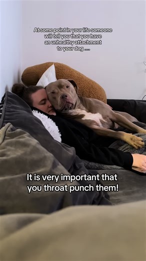 Odin the XL bully (@kirstyjaynodin)’s videos with original sound - 𝒶𝓂𝒶𝒾 🌀☀️