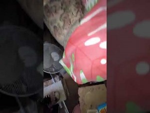 Donate to Help Family in St. James Rebuild After Hurricane in Jamaica, organized by Keivanna McPherson