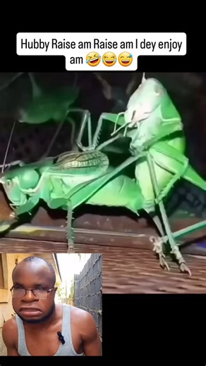 U-M-C on Instagram: "Hubby Raise am raise am I Dey enjoy am😂😂😂#funny #reels #funnyjokes #instagood"