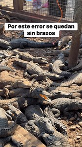 No lo haga compa 😰 | Bien Curioso