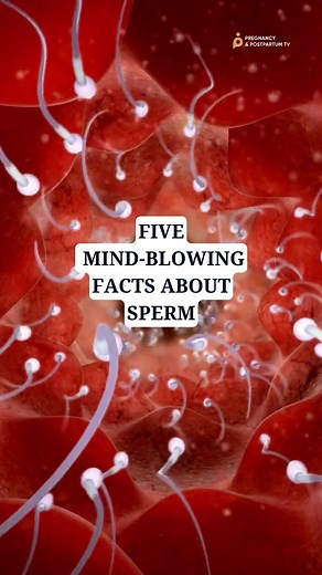 Jessica Pumple on TikTok