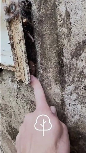 RÉNOVATION PISCINE : AVANT / APRÈS INCROYABLE 🏊‍♂️