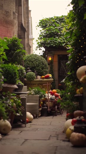 This Halloween marks 46 years since James first opened the doors to The Witchery. Our journey has been marked by moments of magic — from the creation of our nine romantic suites to the recent unveiling of The Witchery Shop — each a new chapter in our story. As we celebrate 46 years, we raise a glass to our incredible team, cherished guests, and friends around the world. Here’s to the next chapter together 🖤 | The Witchery