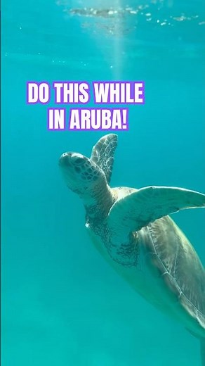 Here is What to do in Aruba on Vacation