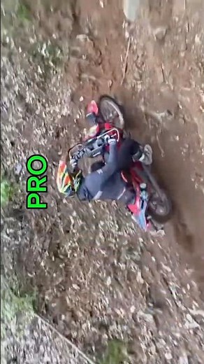 Pro Vs Amateur in Civa rally