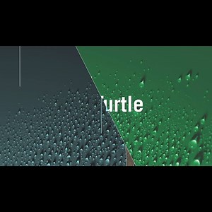 40K views · 433 reactions | On today’s edition of #StumpDrTurtle, the...