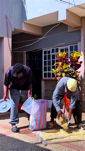 Funny Neighbors: Hilarious Moments Captured