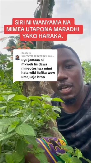 Cultural Connections in African Regions