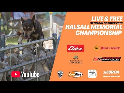 Euroa Show Yard Dog Trial including the Halsall Open Championship