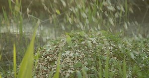 Wood Chips Falling Into Pile Wood Stock Footage Video (100% Royalty-free) 3670444919 | Shutterstock