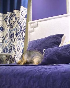 Transform your home with North America’s #1 provider of custom window coverings. Request a FREE In-Home Consultation and we’ll bring the showroom to you! | Budget Blinds