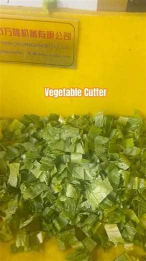 How Salad Vegetable Are Made in Factory | Full Process #factorywork #foodfactory #machine #food