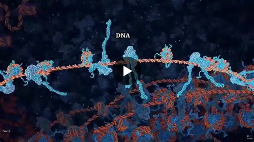 The human mechanism nano robots all the way down executing what we call life in perfect molecular rhythm. (The process depicted here is called homologous recombination and is the cell’s most… | Goran Lazarevski, PhD