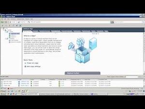 Managing vApps in VMware vSphere