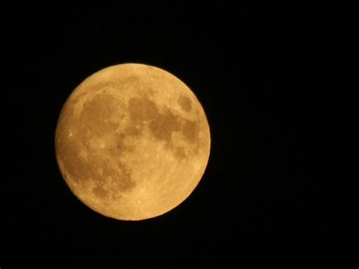 Full Beaver Moon Is The Biggest Supermoon Since 2019: What To Know