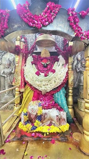 जय माई