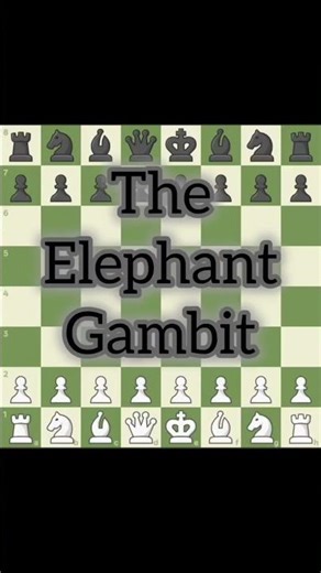 the elephant gambit | CheSs BeEast | #shorts #chess