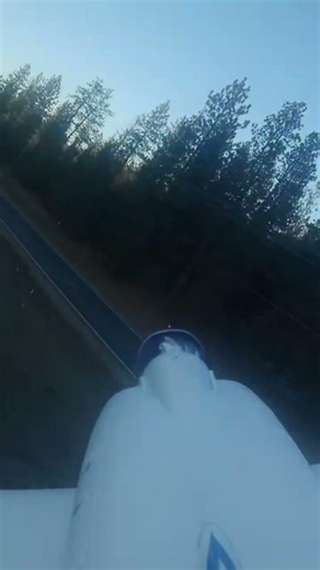 Freewing L-39 #foryou #sunset #rcairplane #jets