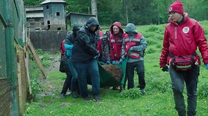 Sad bear kept in tiny cage for three decades is freed but others remain in Slovenian hellhole to amuse tourists
