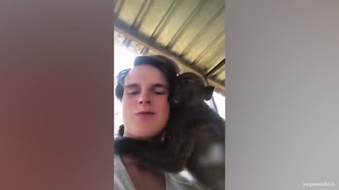 Can’t Stop Laughing with These Funny Animals and Humans