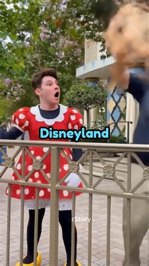 Stupid Things Guests Tried at Disneyland 👀