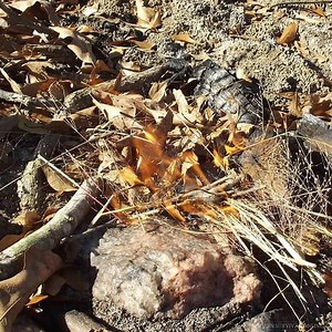 10 Ways to Stay Warm in the Wilderness - Modern Survival Online