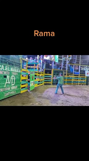 Bull Riding Highlights: Thrilling Rodeo Action