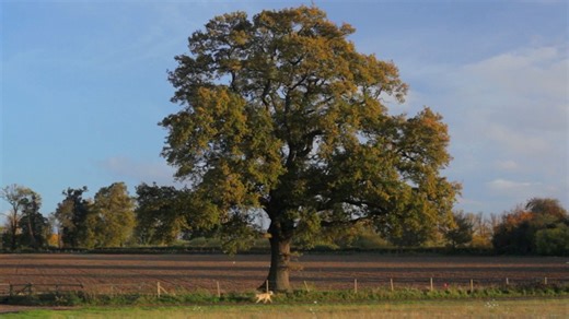 10K views · 372 reactions | A new season of storytelling begins this 'SUNDAY MORNING.' Here's what we're working on https://cbsn.ws/3rpCgfC | CBS Sunday Morning | Facebook