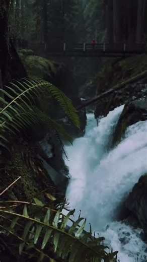 Nature🌿 - Relaxing Music - Stress relief