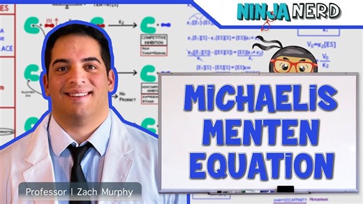 【中英双字 | Ninja Nerd】米氏方程（Michaelis Menten Equation）