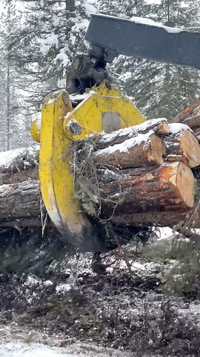 Ryer Becker on Instagram: "Rubber-tired skidders are one of the most commonly used ground-based means for moving trees from where they were cut to the landing where they are processed into merchantable logs and hauled to the mill. - Bunches of logs are secured in the machine’s hydraulic grapples and skid along the ground, hence the name skidder. #logging #loggingindustry #heavyequipment #timber #forestry #forest #management #idahologger"