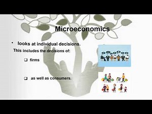 The branches of economics gr10